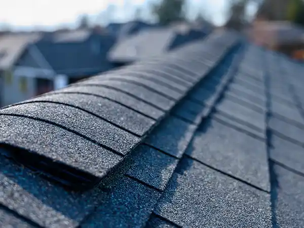 Asphalt shingle roof close-up